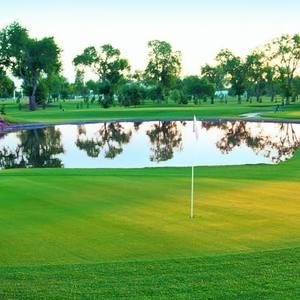 Meet your Posher, Sawyer